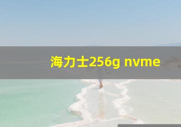 海力士256g nvme